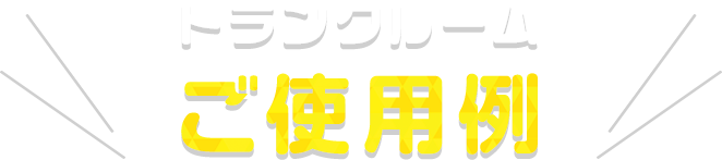 トランクルームご使用例